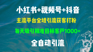 (13104期)小红书,视频号,抖音主流平台全域引流获客打粉,每天吸引精准目标客户...-湘创网