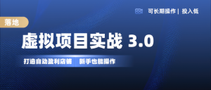 虚拟项目实操落地 3.0,新手轻松上手,单品月入1W+-湘创网