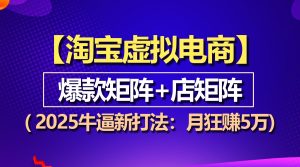 (13687期)【淘宝虚拟项目】2025牛逼新打法:爆款矩阵+店矩阵,月狂赚5万-湘创网