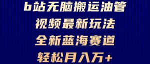 (13155期)B站无脑搬运油管视频最新玩法,轻松月入过万,小白轻松上手,全新蓝海赛道-湘创网