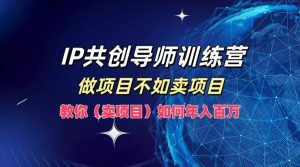IP共创导师训练营,做项目不如卖项目,教你(卖项目)如何实现年入百万-湘创网