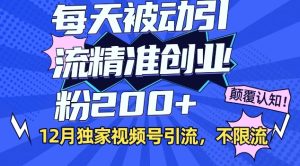 12月独家视频号引流每天被动引流精准创业粉200+不限流-湘创网