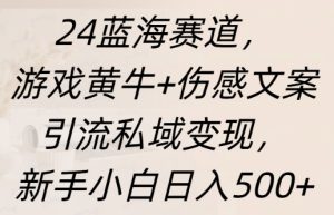 蓝海赛道,游戏黄牛+伤感文案引流私域变现,新手小白日入多张-湘创网