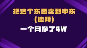 (13740期)跨境电商一个人在家把货卖到迪拜,暴力项目拆解-湘创网
