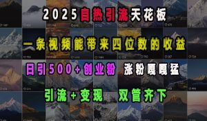 2025自热引流天花板,一条视频能带来四位数的收益,引流+变现双管齐下,日引500+创业粉,涨粉嘎嘎猛-湘创网