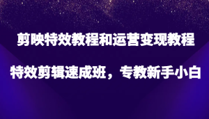 剪映特效教程和运营变现教程,特效剪辑速成班,专教新手小白-湘创网