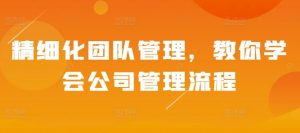 精细化团队管理,教你学会公司管理流程-湘创网