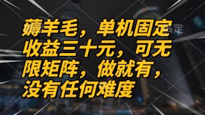 (13162期)薅羊毛项目,单机三十元,做就有,可无限矩阵 无任何难度-湘创网