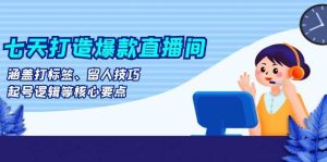 七天打造爆款直播间:涵盖打标签、留人技巧、起号逻辑等核心要点-湘创网