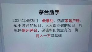 (13051期)魔法贵州茅台代理,永不淘汰的项目,抛开传统玩法,使用科技,命中率极...-湘创网