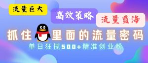 (13068期)流量蓝海,抓住QQ里面的流量密码!高效策略,单日狂揽500+精准创业粉-湘创网