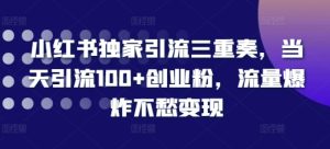 小红书独家引流三重奏,当天引流100+创业粉,流量爆炸不愁变现【揭秘】-湘创网