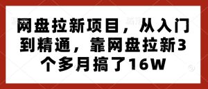 网盘拉新项目,从入门到精通,靠网盘拉新3个多月搞了16W-湘创网