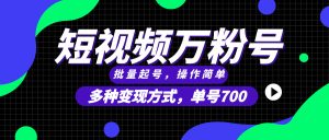 (13497期)短视频快速涨粉,批量起号,单号700,多种变现途径,可无限扩大来做。-湘创网