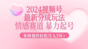 (12922期)2024最新视频号分成玩法,情感赛道,暴力起号,矩阵操作轻松月入3W+-湘创网