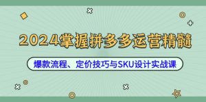 2024掌握拼多多运营精髓:爆款流程、定价技巧与SKU设计实战课-湘创网