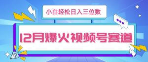 12月视频号爆火赛道,小白无脑操作,也可以轻松日入三位数-湘创网