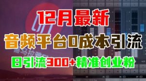 12月最新:音频平台0成本引流,日引流300+精准创业粉-湘创网