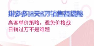 (13383期)拼多多18天8万销售额揭秘:高客单价策略,避免价格战,日销过万不是难题-湘创网