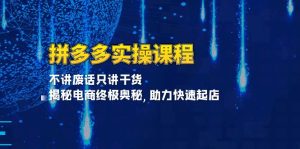 (13577期)拼多多实操课程:不讲废话只讲干货, 揭秘电商终极奥秘,助力快速起店-湘创网