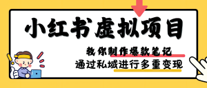 小红书虚拟项目实战,爆款笔记制作,矩阵放大玩法分享-湘创网