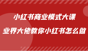 小红书商业模式大课,业界大佬教你小红书怎么做【视频课】-湘创网