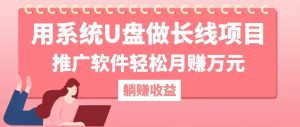 用系统U盘做长线项目,推广软件轻松月赚万元-湘创网