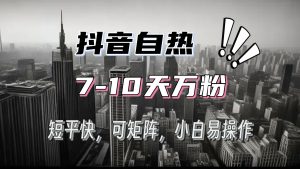 (13454期)抖音自热涨粉3天千粉,7天万粉,操作简单,轻松上手,可矩阵放大-湘创网