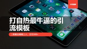 (13654期)打自热最牛逼的引流模板,二剪搬运嗖嗖上人,日引300+-湘创网