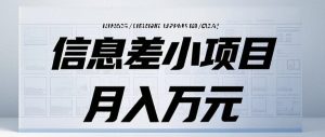 信息差小项目:国内外视频代下载,项目操作简单零成本零门槛月入过万-湘创网