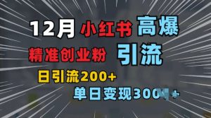 小红书一张图片“引爆”创业粉,单日+200+精准创业粉 可筛选付费意识创业粉【揭秘】-湘创网