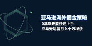 亚马逊海外掘金策略,0基础也能快速上手,亚马逊运营月入十万秘诀-湘创网