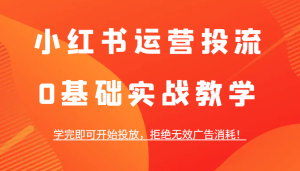 小红书运营投流,0基础实战教学,学完即可开始投放,拒绝无效广告消耗!-湘创网