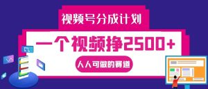 视频号分成一个视频挣2500+,全程实操AI制作视频教程无脑操作-湘创网