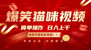 爆笑猫咪视频:简单操作,日入过千,视频号搞钱新策略!-湘创网