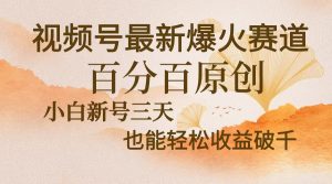 (13225期)视频号最新爆火赛道,中老年粉深信不疑,百分百原创,新号三天收益轻松...-湘创网