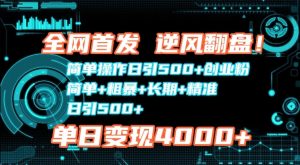 全网首发,简单操作日引500+创业粉,简单+粗暴+长期+精准-湘创网