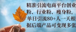 小投资撬动大收益,精准引流创业粉、行业粉,单日引流80+,一天可变现多张-湘创网