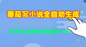 番茄写小说全自动生成,多平合发布每月过W-湘创网