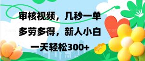 (13719期)视频审核,新手可做,多劳多得,新人小白一天轻松300+-湘创网
