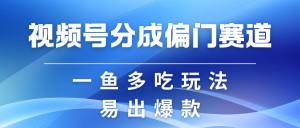 视频号创作者分成计划偏门类目,容易爆流,实拍内容简单易做-湘创网