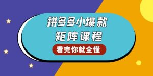 (13699期)拼多多爆款矩阵课程:教你测出店铺爆款,优化销量,提升GMV,打造爆款群-湘创网