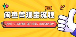 (13677期)闲鱼变现全流程:你从零到一, 打造爆款, 提升流量,助你稳定盈利-湘创网