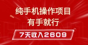纯手机操作的小项目,有手就能做,7天收入2609+实操教程【揭秘】-湘创网