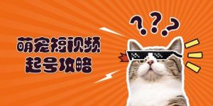萌宠短视频起号攻略:定位搭建推流全解析,助力新手轻松打造爆款-湘创网