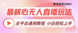 (13221期)最核心无人直播玩法,全平台通用教程,单日变现2000+-湘创网