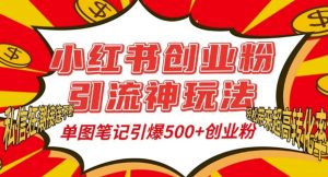 小红书创业粉引流神玩法,单图笔记引爆500+精准创业粉丝,私信狂潮接连不断-湘创网