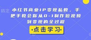 小红书商业IP变现私教,手把手教会你从0-1制作短视频到变现的全过程-湘创网