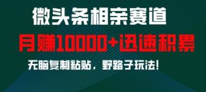 微头条相亲赛道,迅速积累,无脑复制粘贴,野路子玩法,月入1w-湘创网