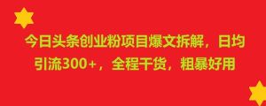 今日头条创业粉项目爆文拆解,日均引流300+,全程干货,粗暴好用-湘创网